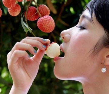 糖尿病人吃荔枝降糖不靠谱