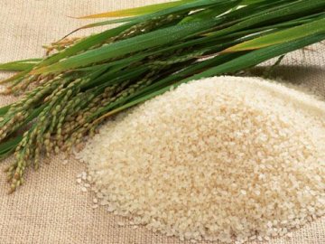 籼米养胃脾：籼米食疗验方三则