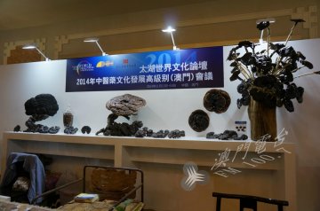  中医药展览会展示多种珍贵药材