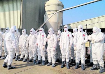 台鸡首染H5N2新型禽流感
