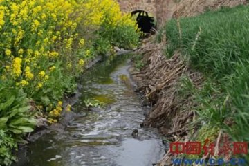 白云纸业污水威胁饮水安全 环保局放任企业污染