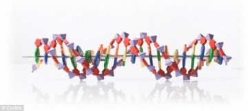 科学家发现30种常见癌症DNA秘密 助开发新疗法