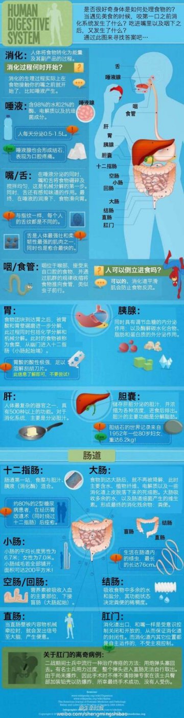 科普贴：一图让你看懂消化系统