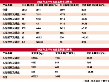头孢克洛进口飘红