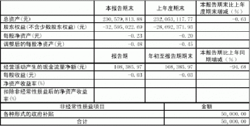 山东金泰集团股份有限公司2005第一季度报告（节录）