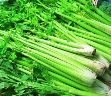 最能吸脂的15种食物 冻豆腐效果最好