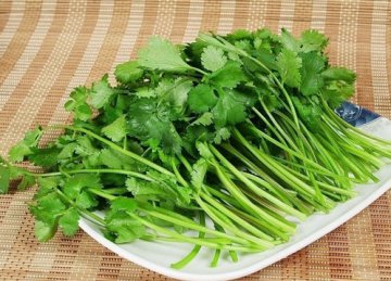 香菜