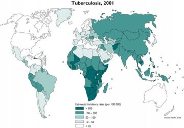 肺结核疫情分布图（Tuberculosis，2001）