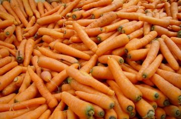 这些“屌丝”食物竟然助长寿