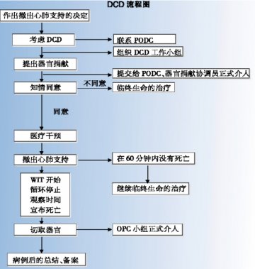 DCD进展出乎意料
