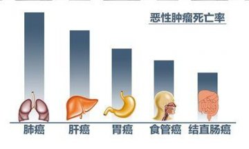 报告称全国每分钟6人确诊癌症 地域分布明显