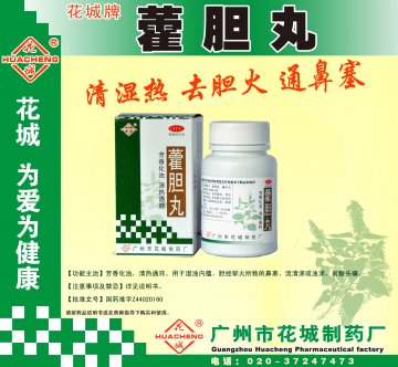 藿胆丸-(国药准字Z44020160)精美广告图欣赏