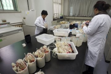 揭秘：走进人类血液仓库