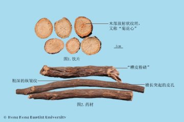 赤芍（Chishao）中药材鉴别照片