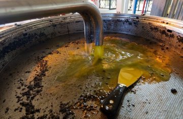 约旦油厂生产实录橄榄油是怎样炼成的