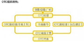 激流四部曲 一个老药企的成功营销转轨