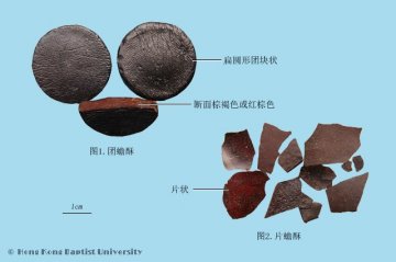 蟾酥（Chansu）中药材鉴别照片