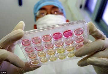 科学家揭艾滋感染自愈秘密：有望孕育新疗法
