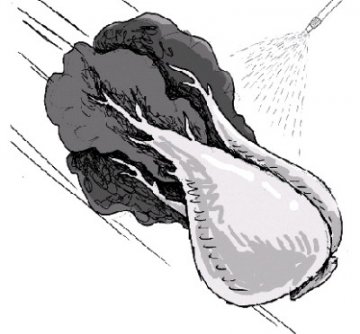 山东菜贩给大白菜喷福尔马林