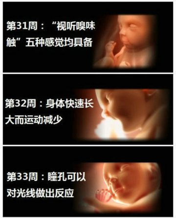 生命的史诗！人类从受精到出生全过程