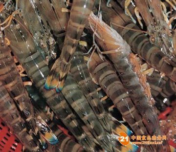 农业部将在全国范围“拉网”检查水产品