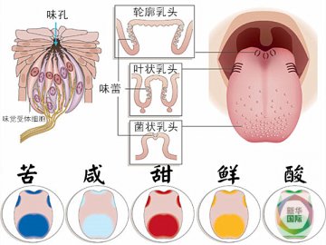 萌萌哒！“肥”也是一种味道
