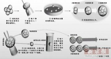 基因疗法在全球首次治愈两名癌症患者