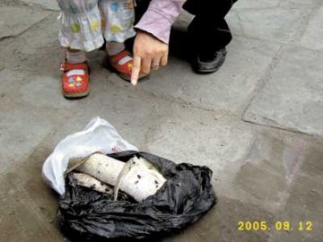 带鱼半小时毒死数十苍蝇 卫生监督所已将其封存