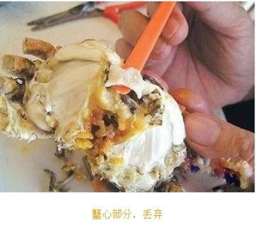 如何优雅食用大闸蟹：步骤五