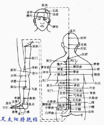 足太阳膀胱经