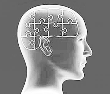 科学家提出记忆形成新解 多样化刺激形成记忆