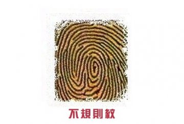 指纹竟决定你的爱情