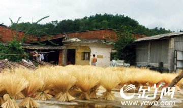 惠州牙签生产基地 有毒物质漂白牙签