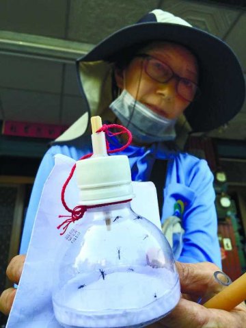 台登革热病例破万