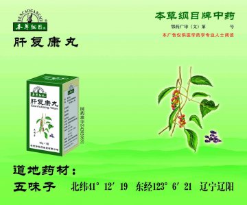 肝复康丸-官方高清创意广告(鄂药广审(文)第2013010010号)