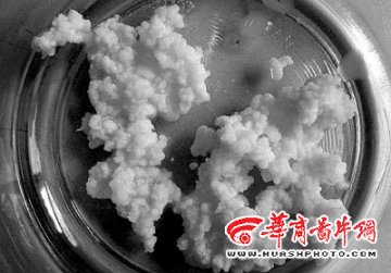 记者调查：雪莲牛奶偏方原是乳酸菌