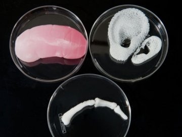 3D打印技术又获突破 可打印身体器官