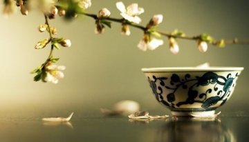 春节喝茶的五个误区