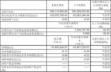 上海华源制药2007年第三季度报告（节录）
