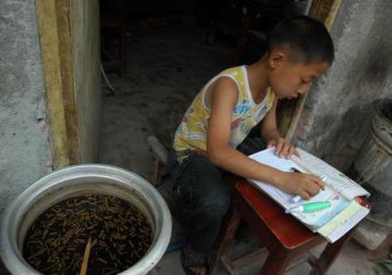 少年为重症爸爸拾荒筹钱 面临被学校开除困境
