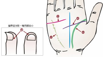24种手相揭示疾病征兆