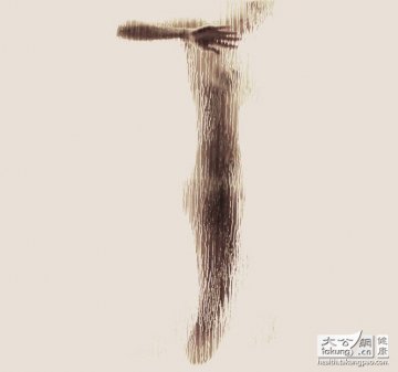 人体探秘：女性裸体与解剖学之美