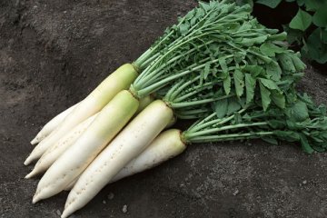 这六种蔬菜千万不要买