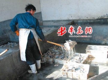 青岛：大肠菌群超标767倍这个厂子的熏鱼毒性堪比臭水沟