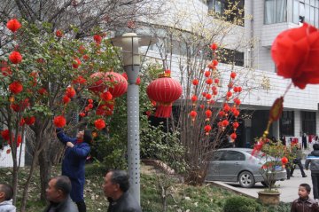 黄山市人民医院张灯结彩 营造春节喜庆气氛