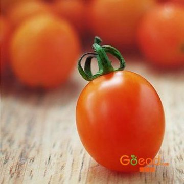 护肤指南：蕴藏古老美容秘方的果蔬