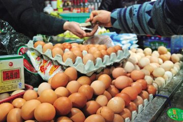 新鲜鸡蛋检出三聚氰胺