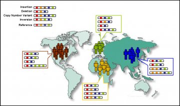 “千人基因组计划”高精度遗传变异图谱