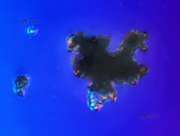实拍放大千倍的北京霾颗粒