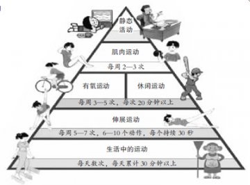 健身金字塔 生活中的运动最实惠
